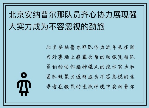 北京安纳普尔那队员齐心协力展现强大实力成为不容忽视的劲旅