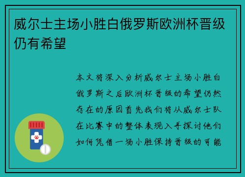 威尔士主场小胜白俄罗斯欧洲杯晋级仍有希望