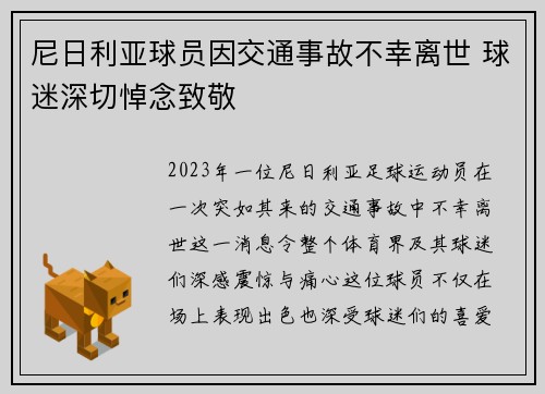 尼日利亚球员因交通事故不幸离世 球迷深切悼念致敬